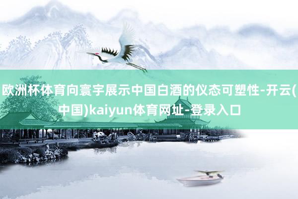 欧洲杯体育向寰宇展示中国白酒的仪态可塑性-开云(中国)kaiyun体育网址-登录入口